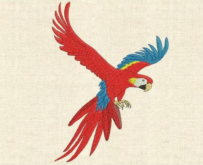Parrot DST Embroidery File Funny Parrot Machine Embroidery Design 4x4 Parrot Embroidery Design Bird Embroidery Design Digital File