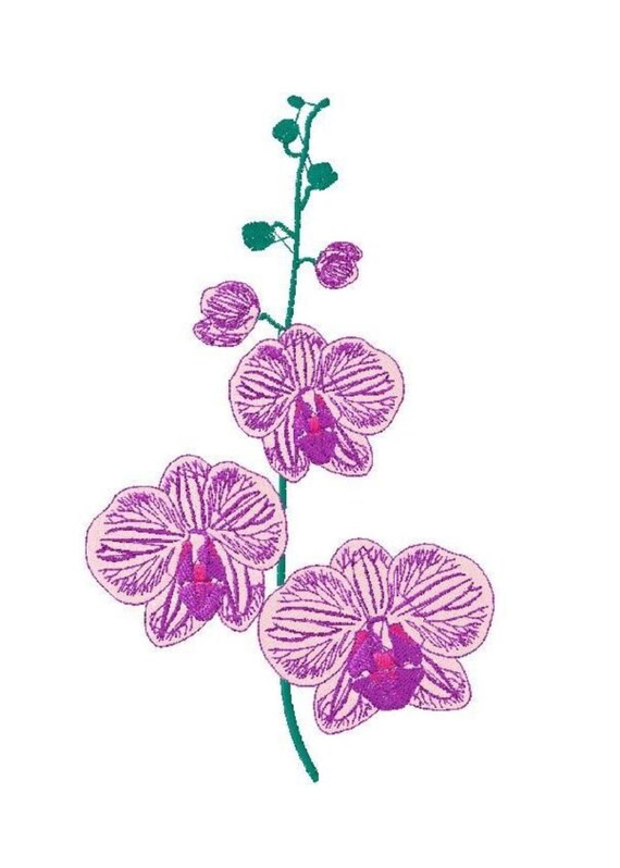 Diseño de bordado a máquina flores Orquídea 7 - Etsy España Diseño de bordado a máquina flores Orquídea 7 - Etsy España