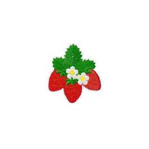 Strawberries with flowers Machine embroidery designs strawberry