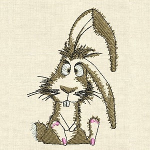Machine Embroidery Designs Silly Rabbit - Etsy