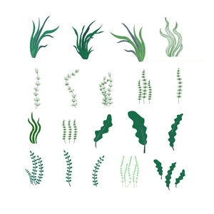 Seaweed set Machine embroidery, algae