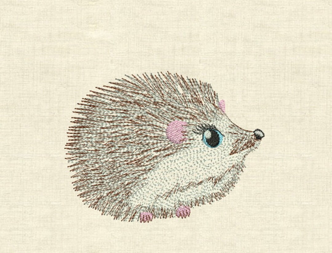 Machine Embroidery Designs Hedghog Etsy
