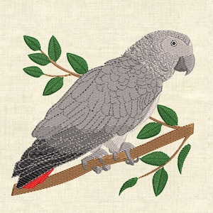 African gray parrot Machine embroidery designs birds