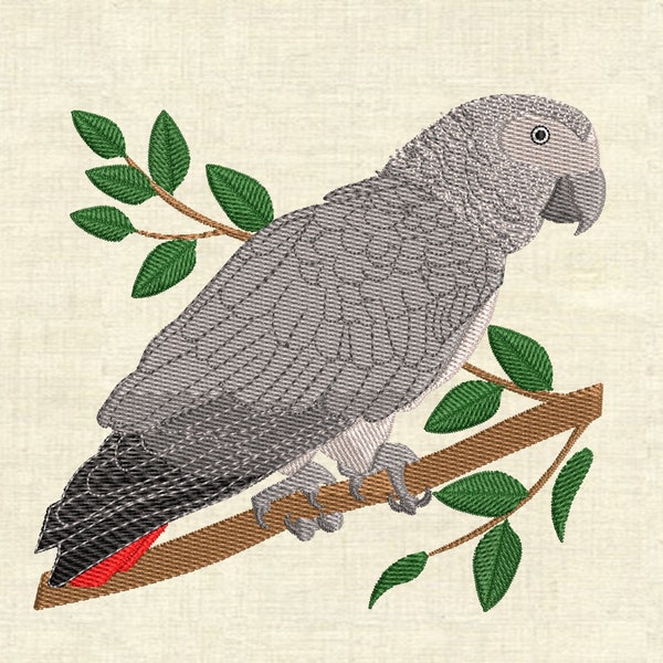 Machine embroidery designs African gray parrot birds