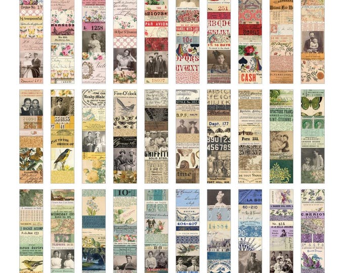 ジャンク ジャンプSQ.(ジャンプスクエア) 2024年 04 月号 [雑誌] |本 | 通販