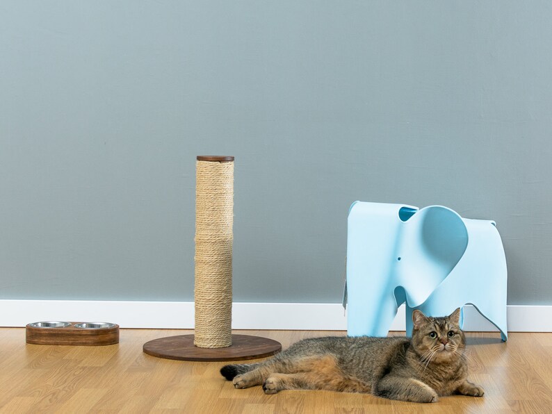 May include: A brown cat scratching post with a sisal rope covering, a blue elephant-shaped stool, and a brown tabby cat lying on the floor.