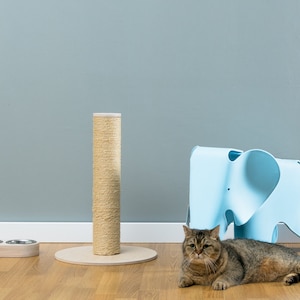 May include: A brown tabby cat sits on a wooden floor in front of a blue elephant-shaped chair and a scratching post wrapped in sisal rope. Two metal bowls are on a wooden stand.