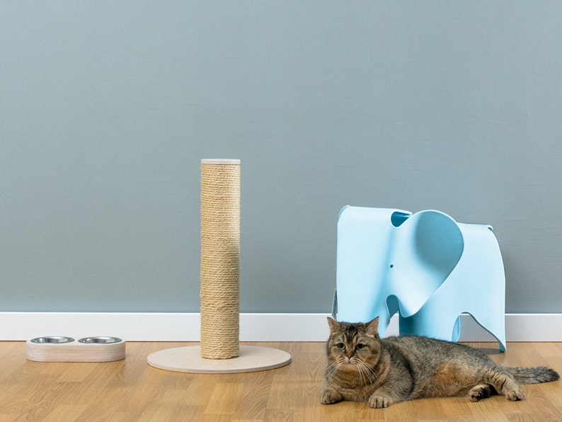 May include: A brown tabby cat sits on a wooden floor in front of a blue elephant-shaped chair and a scratching post wrapped in sisal rope. Two metal bowls are on a wooden stand.