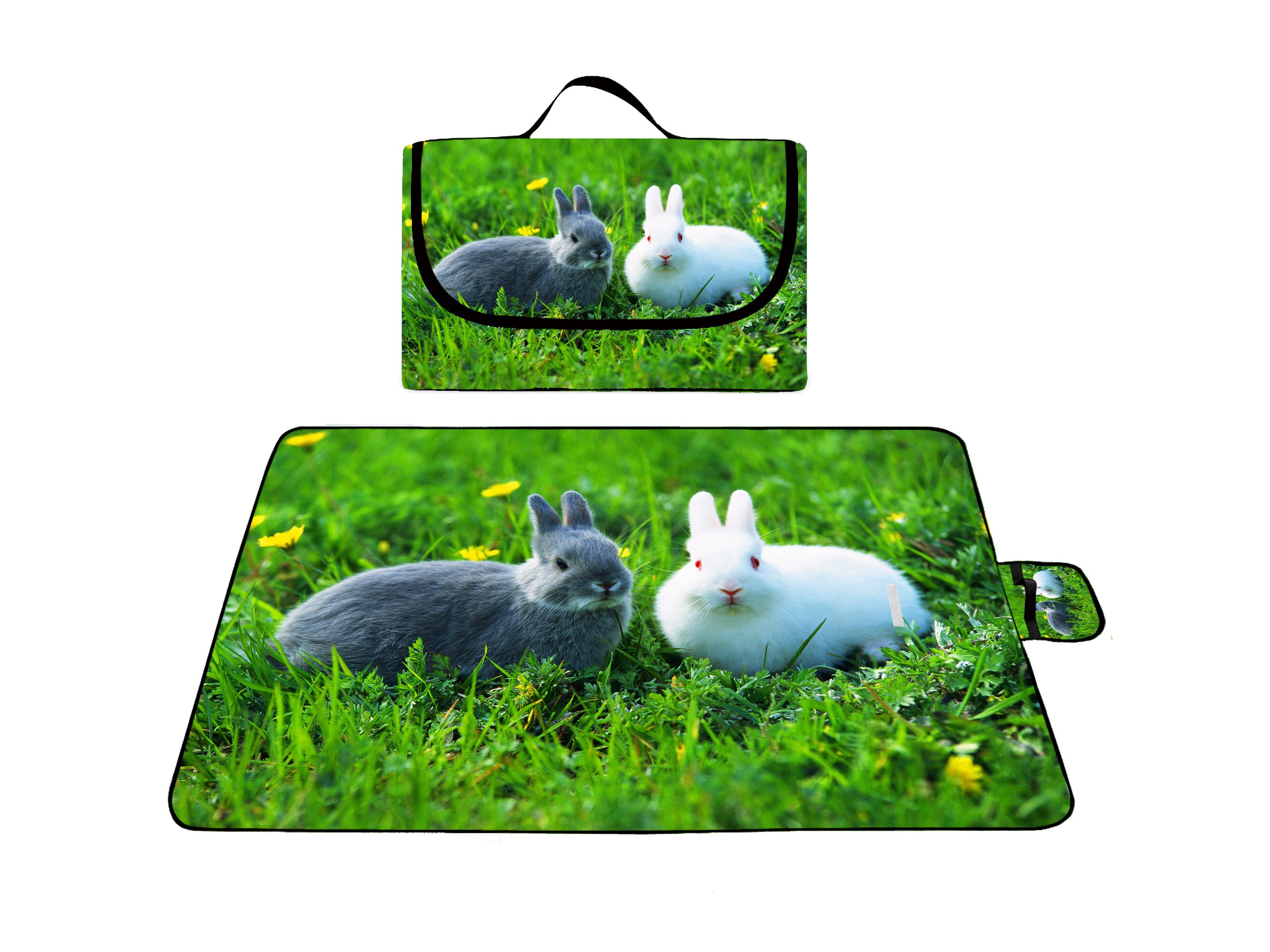 Combo Pack Edible Natural Grass Hideaway with Woven Grass Mat Beds Handcrafted Grass House with Bed Mat for Rabbits and Guinea Pigs Extra Large 14”x11”x10” Foldable Toy Hut with Openings 