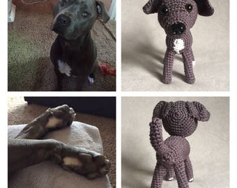 blue nose pitbull stuffed animal