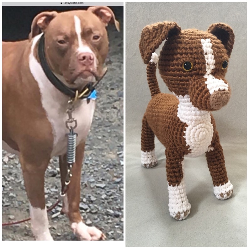 Custom crochet dog custom crochet pitbull plush pet custom | Etsy