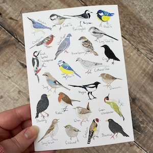 Garden Bird Card,Bird Card,Card for Bird Lover,Wildlife Card,Garden Bird Print,British Wildlife Card,British Wildlife Print