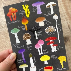 Toadstool Card,Fungi Card,Mushroom Card,Wildlife Card,Woodland Card,Autumn Birthday Card,Fungi Print,Toadstool Print,Mushroom Print