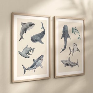 Set of 2 Shark Wall Art Prints: Watercolor Marine Decor, Shark Poster | 200
