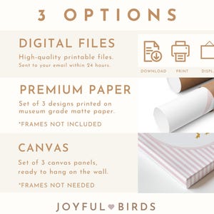 May include: Image showcasing three options: digital files, premium paper prints, and canvas panels. The text includes "3 OPTIONS," "DIGITAL FILES," "PREMIUM PAPER," and "CANVAS." The image also features icons for download, print, and display, along with the brand name "JOYFUL BIRDS."