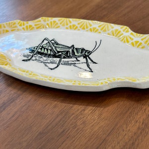 Ceramic Dish with Grasshopper and Edged in a Yellow Graphic Design image 2