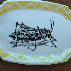 Ceramic Dish with Grasshopper and Edged in a Yellow Graphic Design image 3