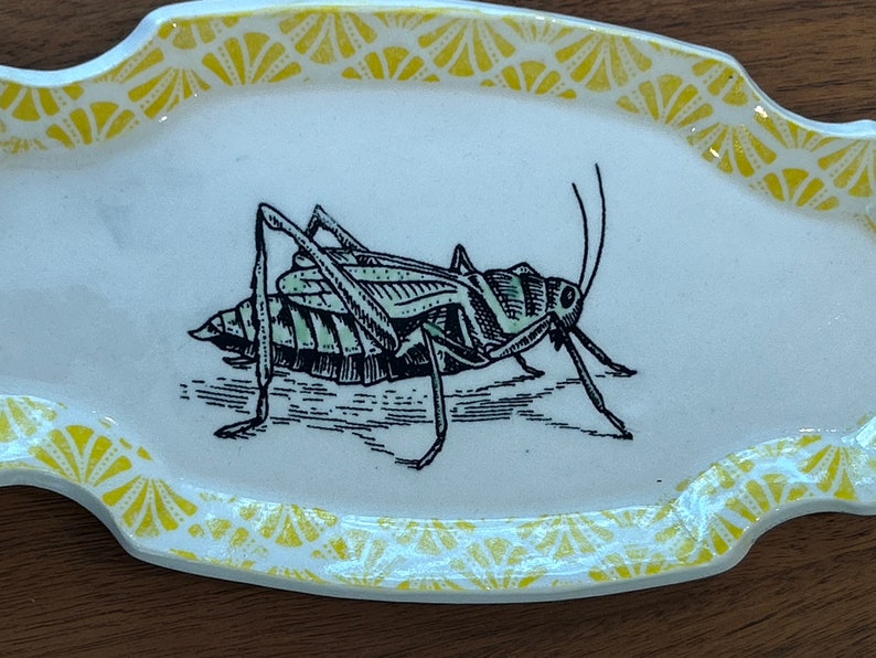 Ceramic Dish with Grasshopper and Edged in a Yellow Graphic Design image 3