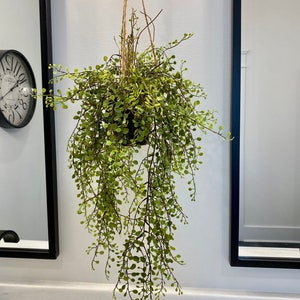 Hanging plant, faux hanging plant, hanging greenery, baby tear plant, hanging potted plant, modern wall decor, gift, wall decor, greenery