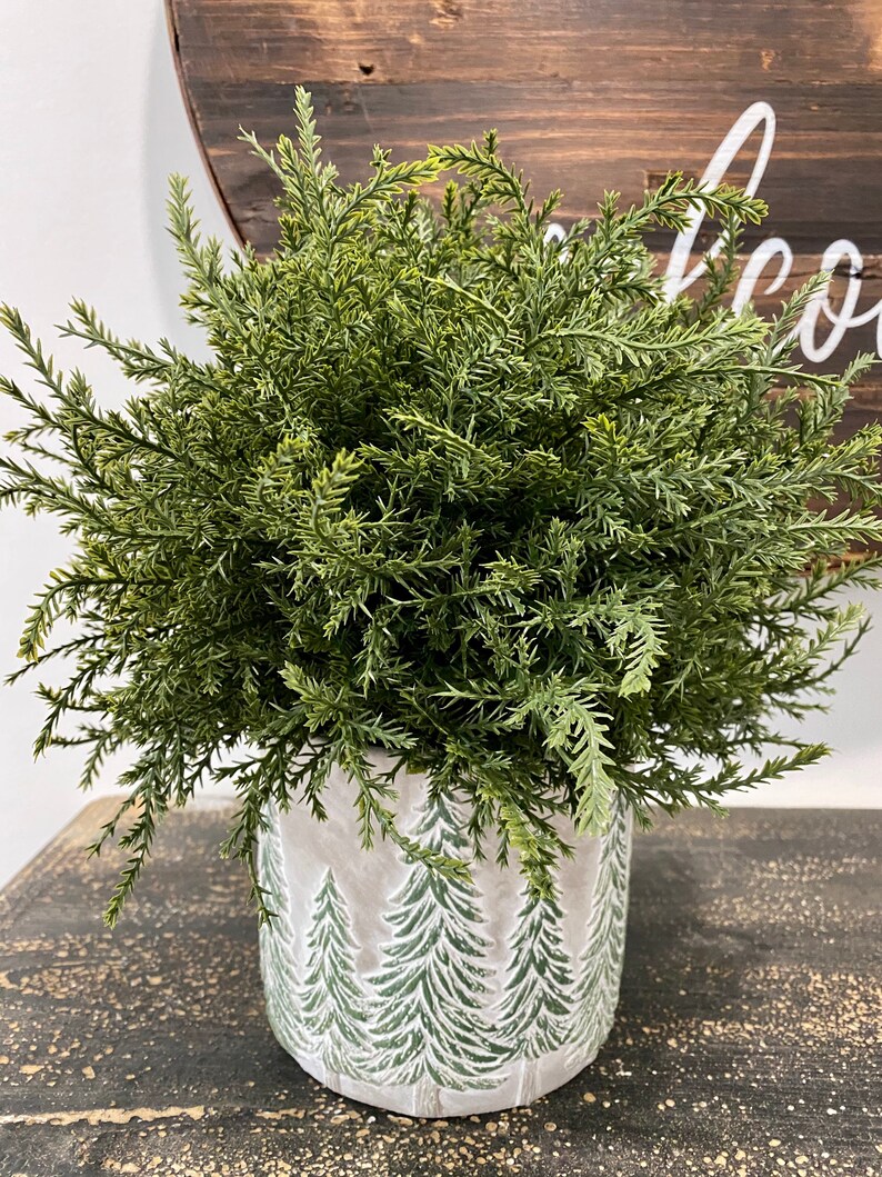 Cedar Orb Cedar Arrangement Christmas Tree Vase Christmas Etsy