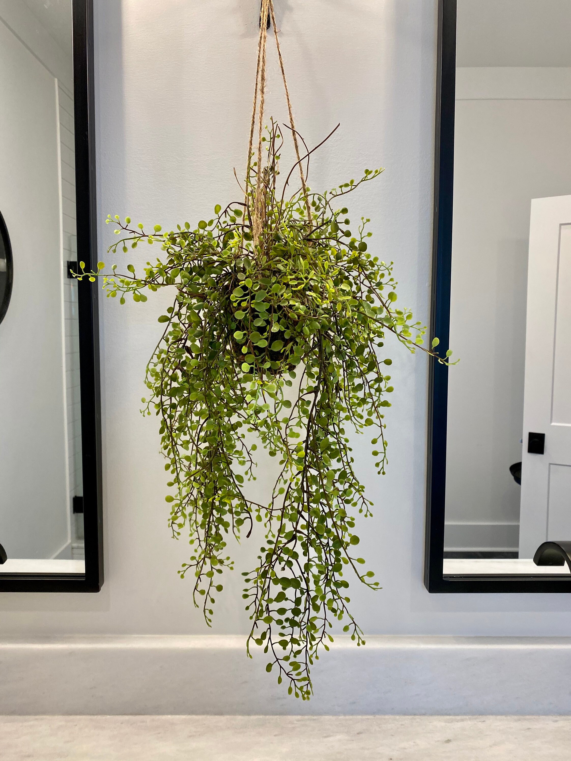 Hanging plant faux hanging plant hanging greenery baby tear Etsy