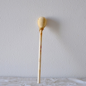 ChokeCherry Drumstick