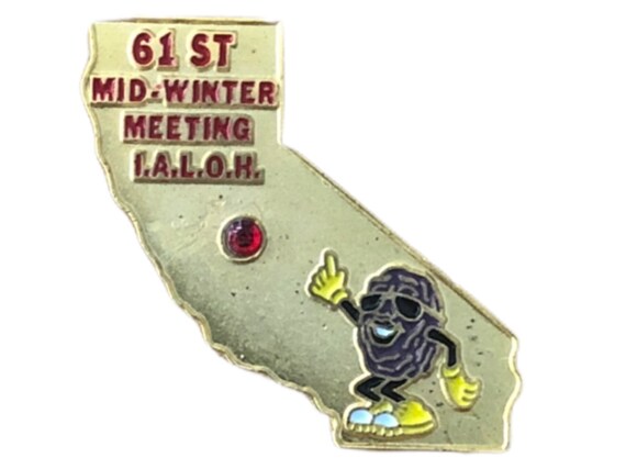 Masonic California Raisin Lapel Pin, 1992