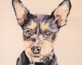 Custom Pet Portrait, Original Pastel Art, Portrait Drawn From Photo