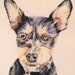 see more listings in the Pet Portraits section