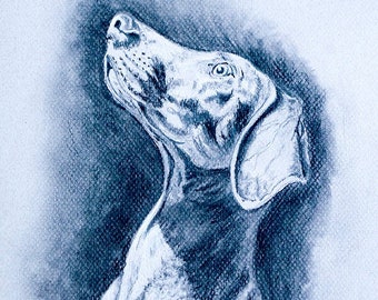 Custom Pet Portrait Drawn From A Photo,  Personalized Pet drawing