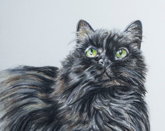 Custom Pet Portrait Drawn From Photo, Cat Lovers Gift