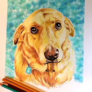 Custom Hand-Drawn Pet Portrait, Colored Pencil Art