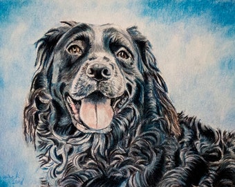 Retrato de mascota personalizado dibujado a partir de una foto