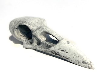 Raven (Crow) Skull - Shaman Ritual, helper spirit, spirit animal, spirit guide, familiar