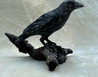 Old Crow - Resting and vigilant crow sculpture on driftwood, helper spirit, spirit animal, spirit guide, familiar