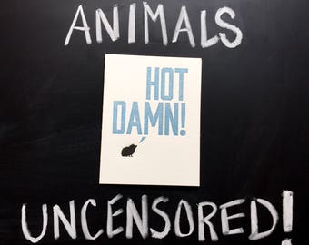Animales sin censura - Hot Damn Card