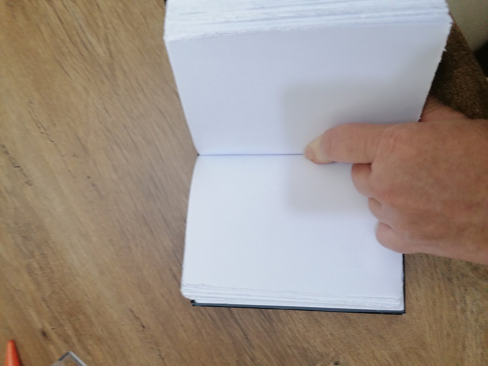 Bat Gothic Bat Vampire Bat Vampire Diary Vampire Bat Diaries Etsy