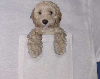 May include: A white t-shirt with a pocket featuring a brown and white dog peeking out of the pocket.
