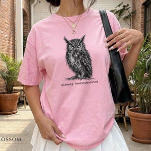 Puede incluir: Una camiseta de manga corta de color rosa claro con una ilustraci&oacute;n detallada en tinta negra de un b&uacute;ho centrada en el pecho. Debajo del b&uacute;ho, el texto "Already Overstimulated" aparece en una fuente de estilo m&aacute;quina de escribir.