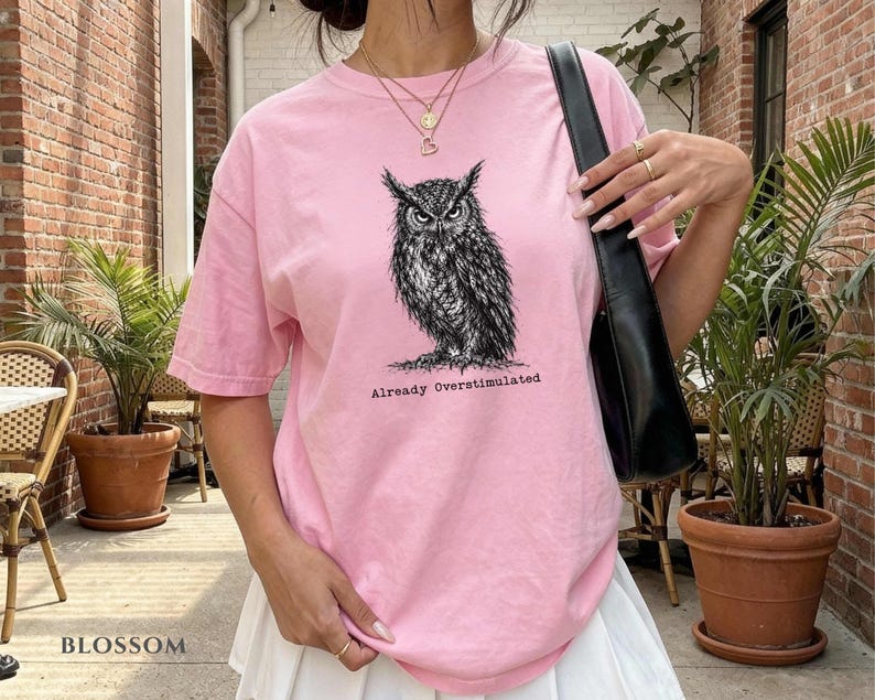 Puede incluir: Una camiseta de manga corta de color rosa claro con una ilustraci&oacute;n detallada en tinta negra de un b&uacute;ho centrada en el pecho. Debajo del b&uacute;ho, el texto "Already Overstimulated" aparece en una fuente de estilo m&aacute;quina de escribir.