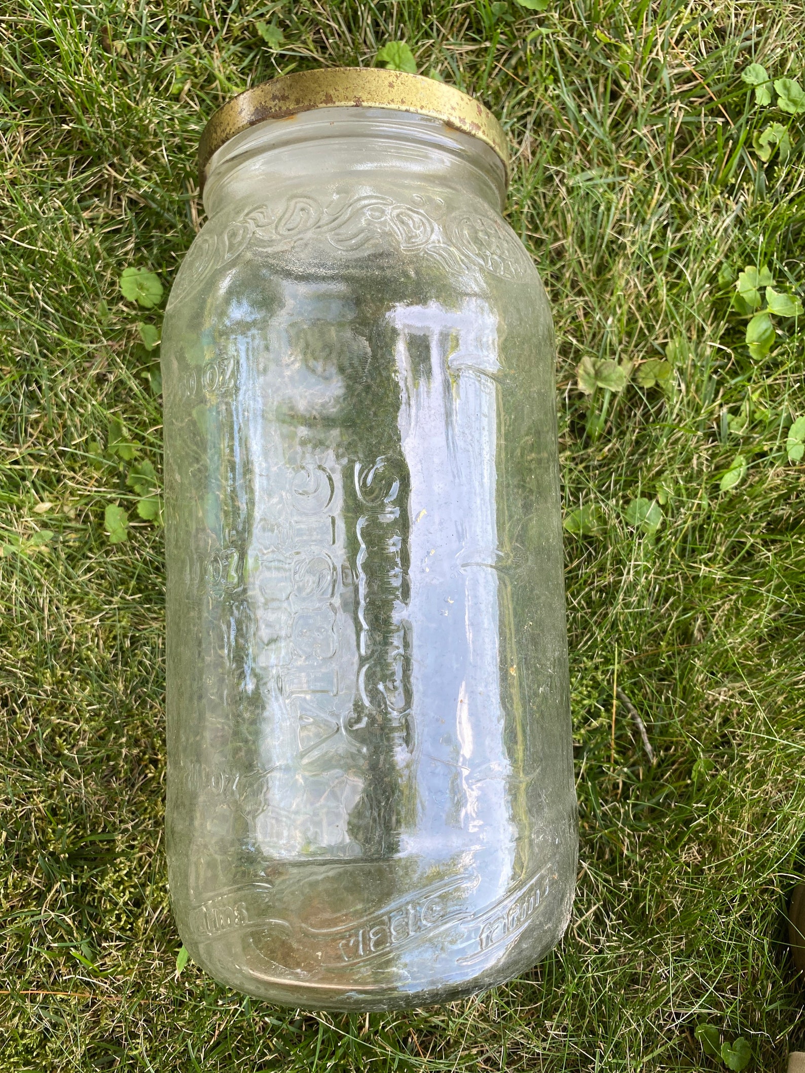 Vlasic Farms 80 oz Embossed Glass Pickle Jar with Lid Etsy