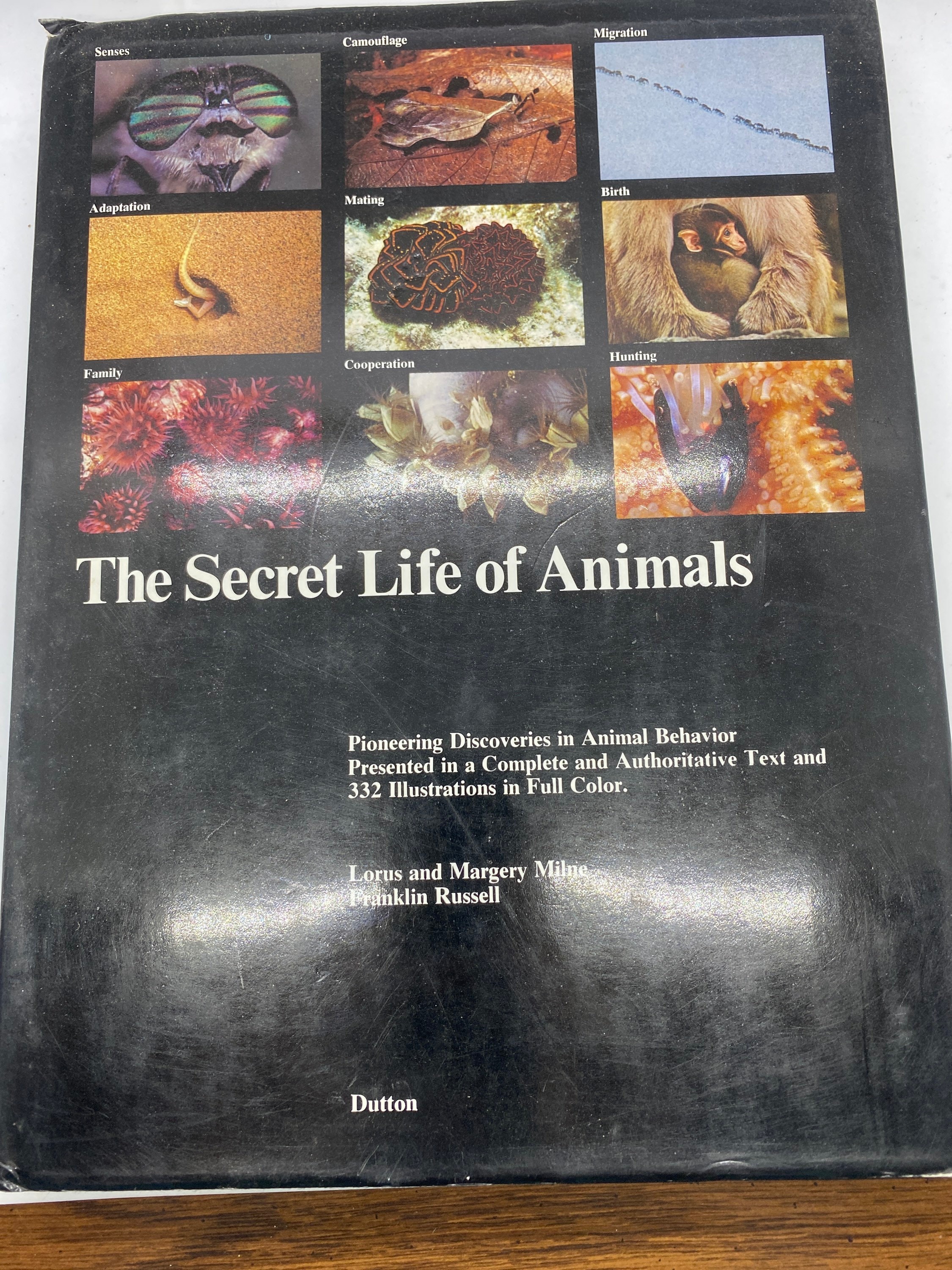 The Secret Life of Animals: Pioneering Discoveries in Animal - Etsy