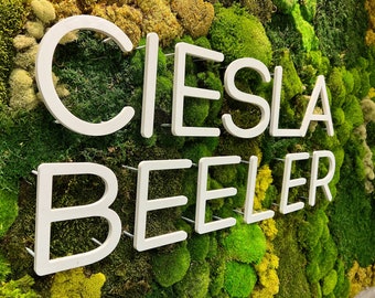 Letras metálicas acrílicas: soporte flotante elevado para pared de musgo de oficina