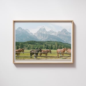 Horses in Jackson Hole, Wyoming, Grand Teton National Park, Wall Art, Digital Download