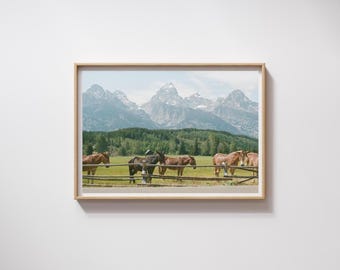 Horses in Jackson Hole, Wyoming, Grand Teton National Park, Wall Art, Digital Download