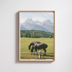 Grand Teton National Park Wandkunst, Wyoming Pferde Druck, Jackson Hole Wanddekor