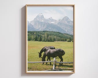 Grand Teton National Park Wall Art, Wyoming Horses Print, Jackson Hole Wall Decor