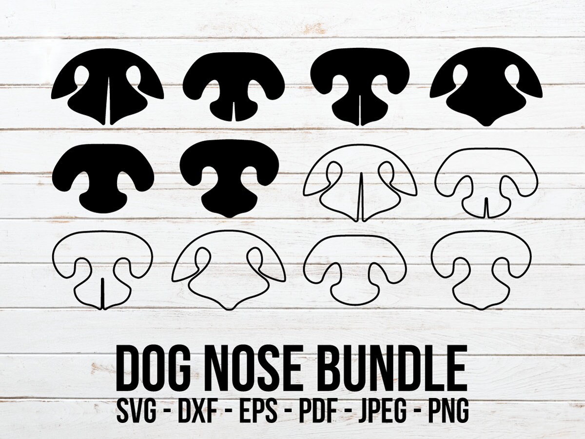 What Can I Put On My Dogs Scraped Nose