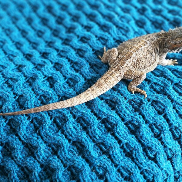 Wool Electric Blanket Etsy