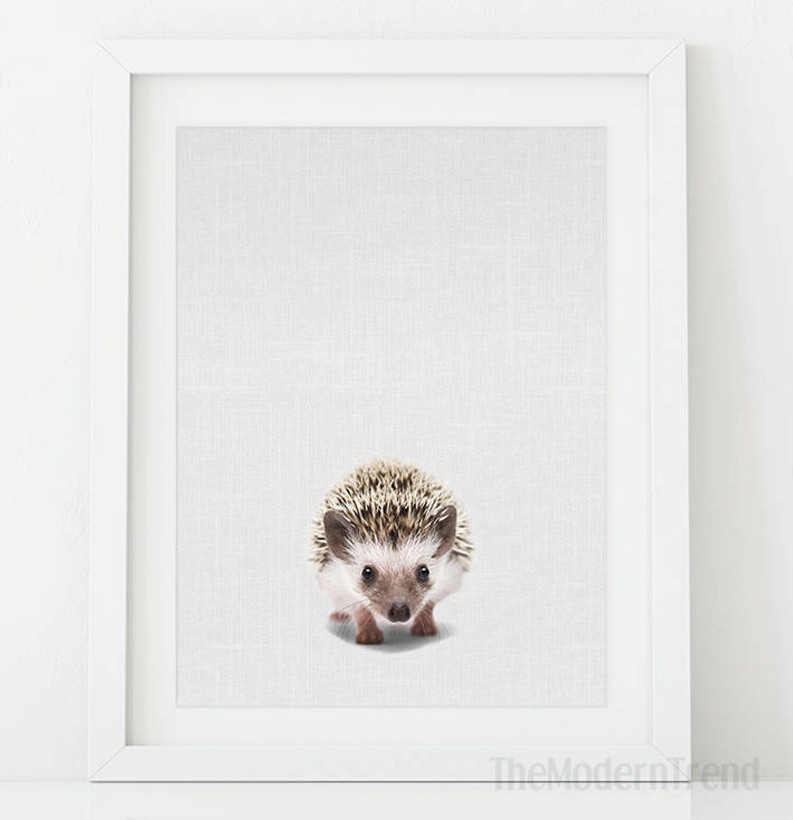 Hedgehog Nursery Print Baby Hedgehog Print Nursery Animal Etsy